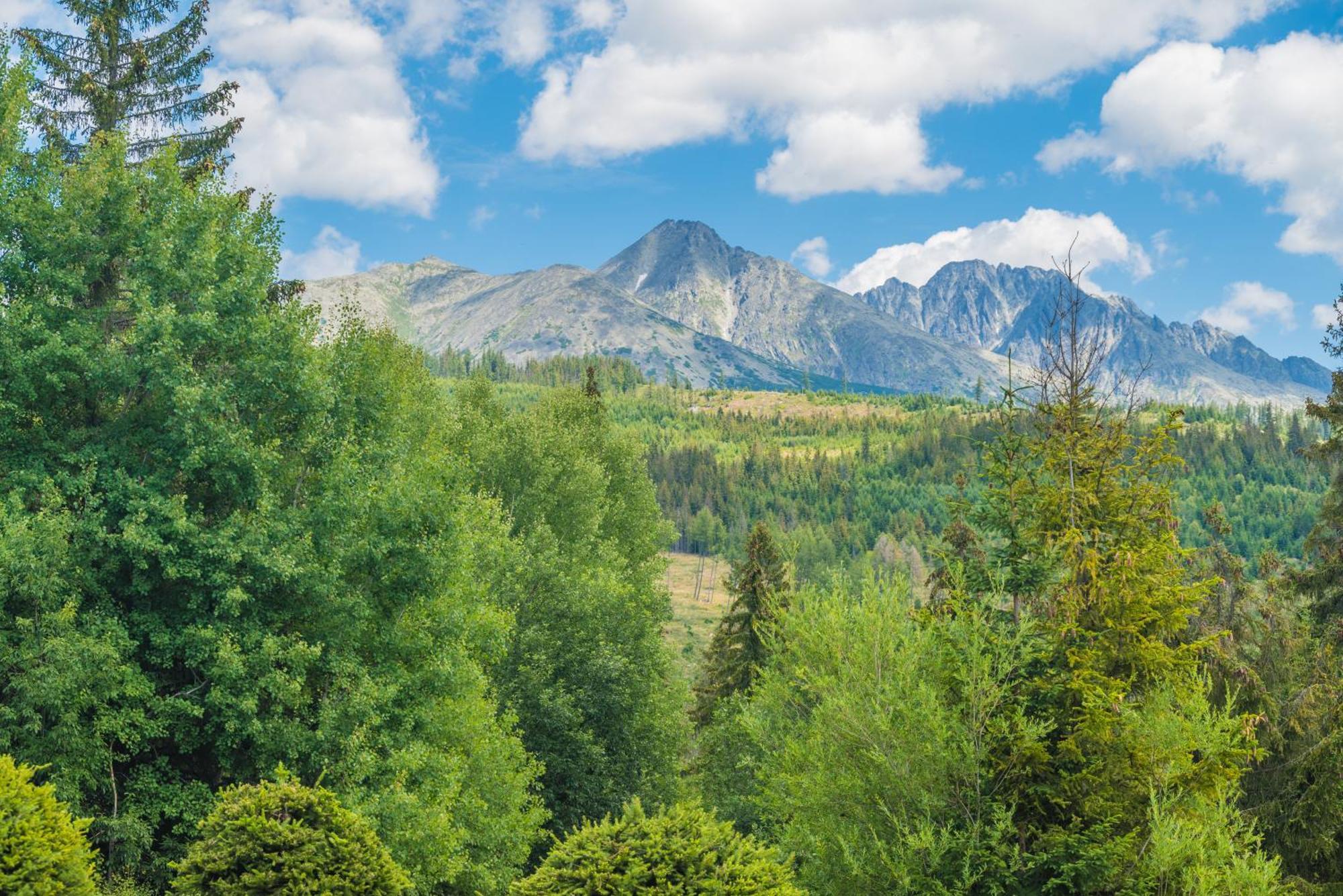 Sherpa'S Hostel High Tatras Strbske Pleso Exterior photo